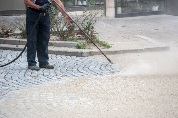 Best Roof Washing  in Boston, MA